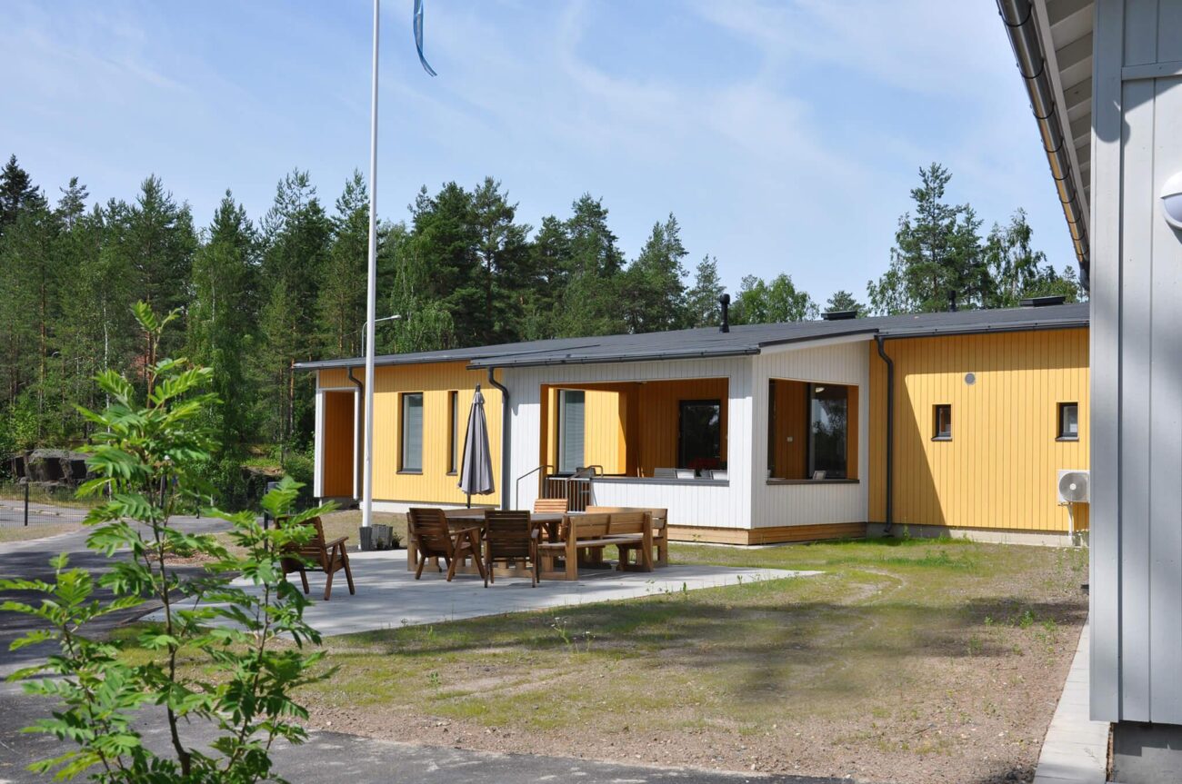 Koivumetsän takapiha