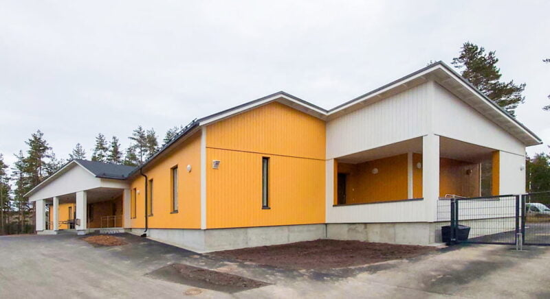 Koivumetsä ulkoa