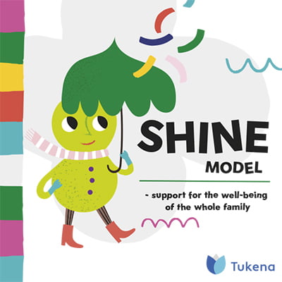 Shine model -julkaisun kansi
