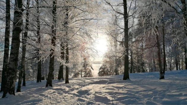 kuvituskuva