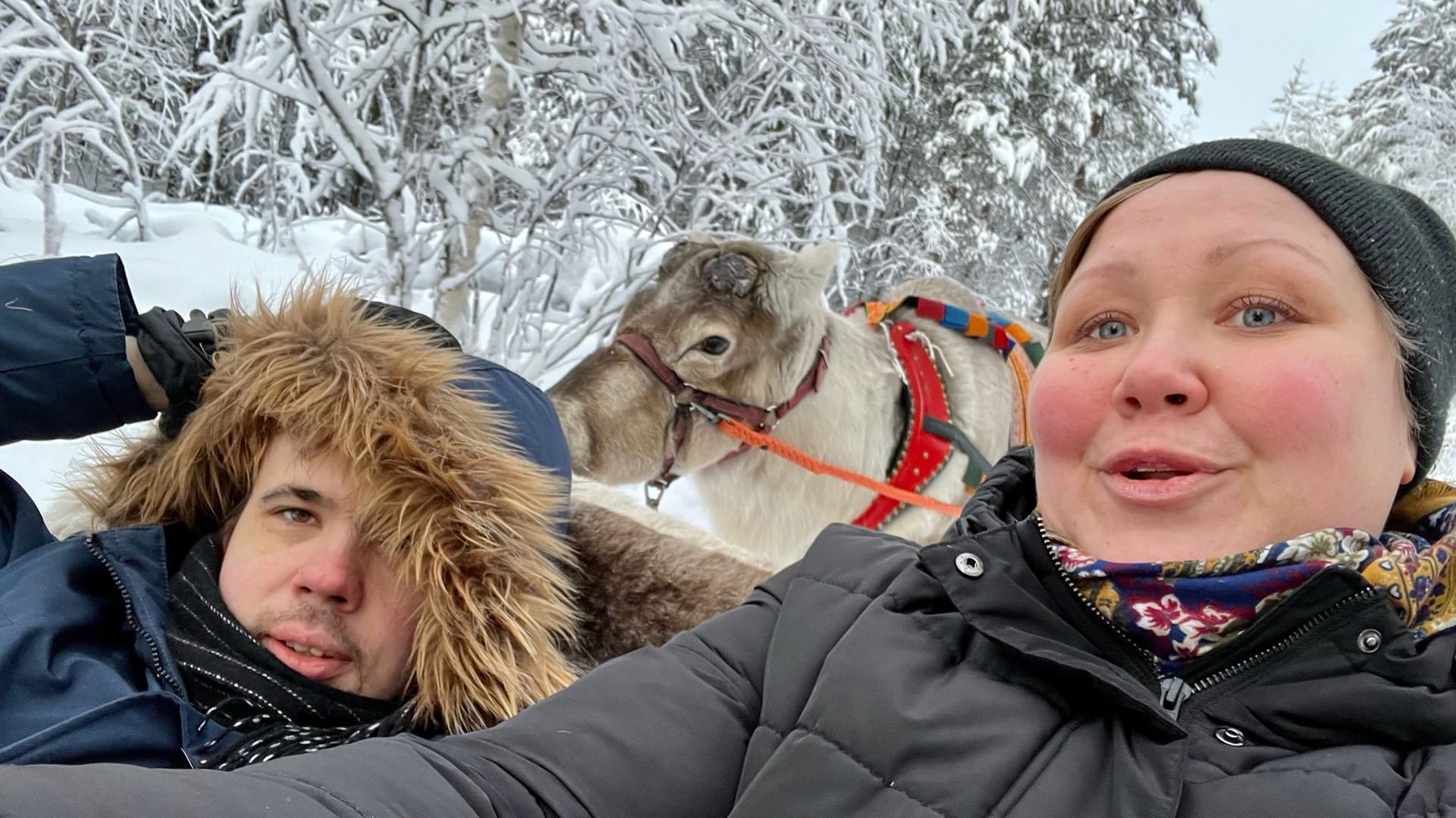 Johanna ja Kari porokyydissä